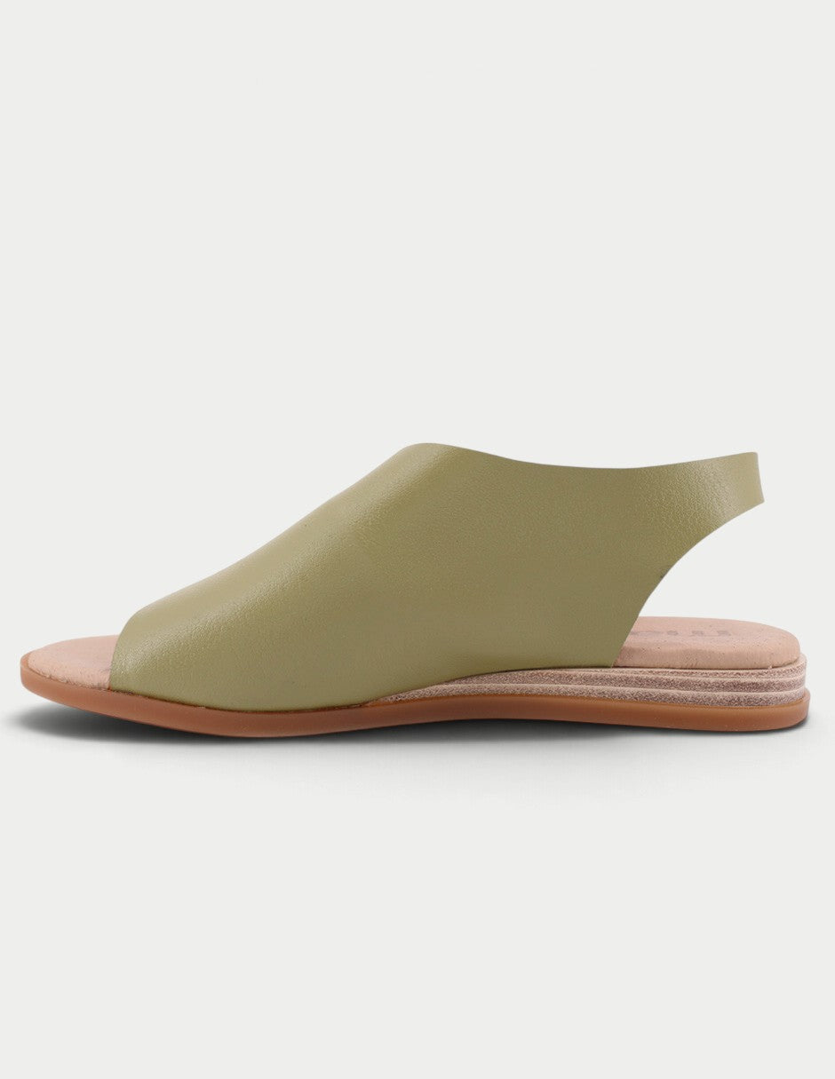 Dalia 02