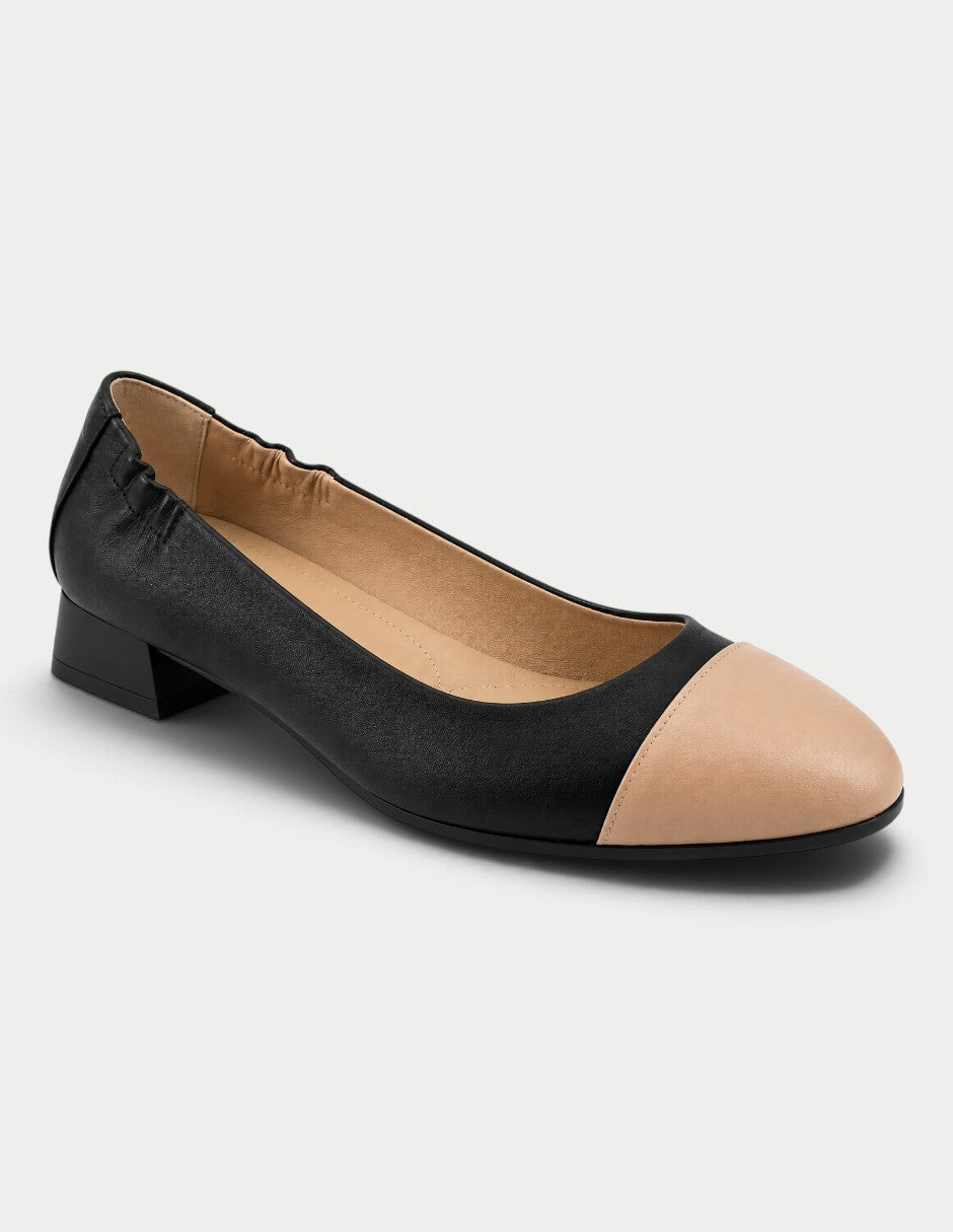 Coral 01